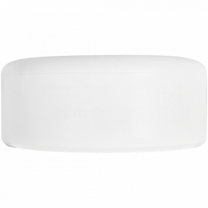 Pro Aqua PA15024 Pro Aqua d=110 PP-R Заглушка Белая