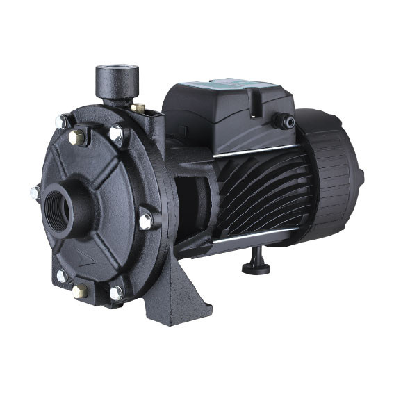 Поверхностный центробежный насос PUMPMAN 2TCP25/160A
