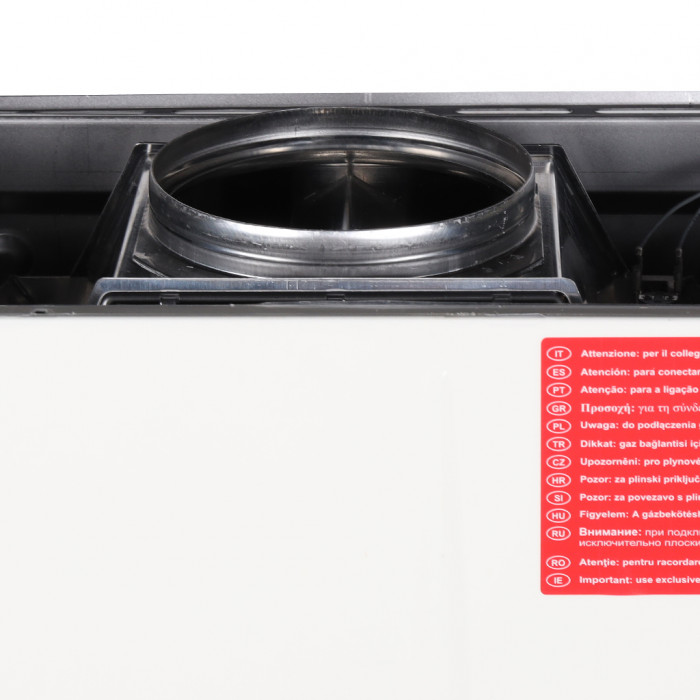 Настенный газовый котел Immergas Nike Mythos 24 3 R, атмосферный, двухконтурный