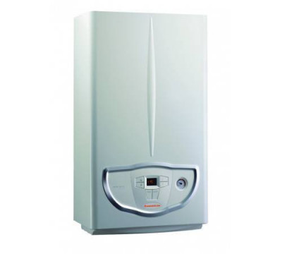 3.020857 Immergas Mini Nike X 24 3 E котел газовый настенный/одноконтурный/атмосферный