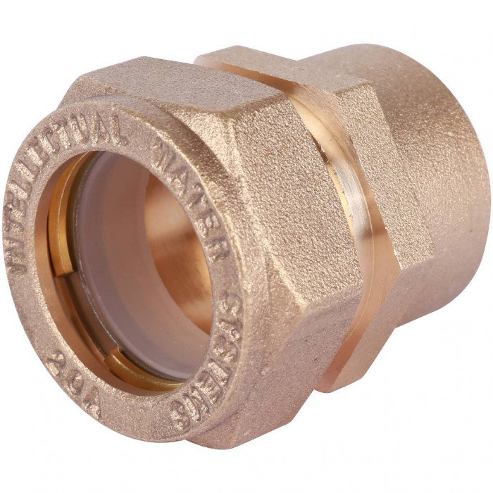 Нептун Муфта Neptun IWS (F) 20х3/4 EF