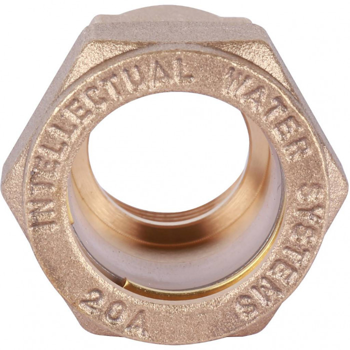 Нептун Муфта Neptun IWS (F) 20х3/4 EF