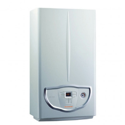 Котел газовый настенный/одноконтурный/атмосферный Immergas Mini Nike X 24 3 E 3.034141
